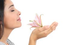 Close up of a beautiful woman profile smelling a pink flower isolated on a white background